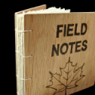 Field Notes by Abby