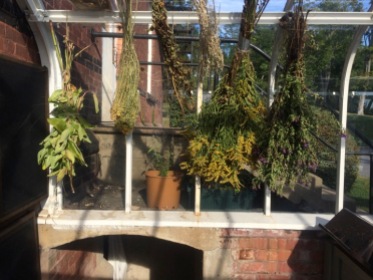 Drying out plants before cooking